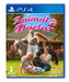 Animal Doctor (PS4) PlayStation 4