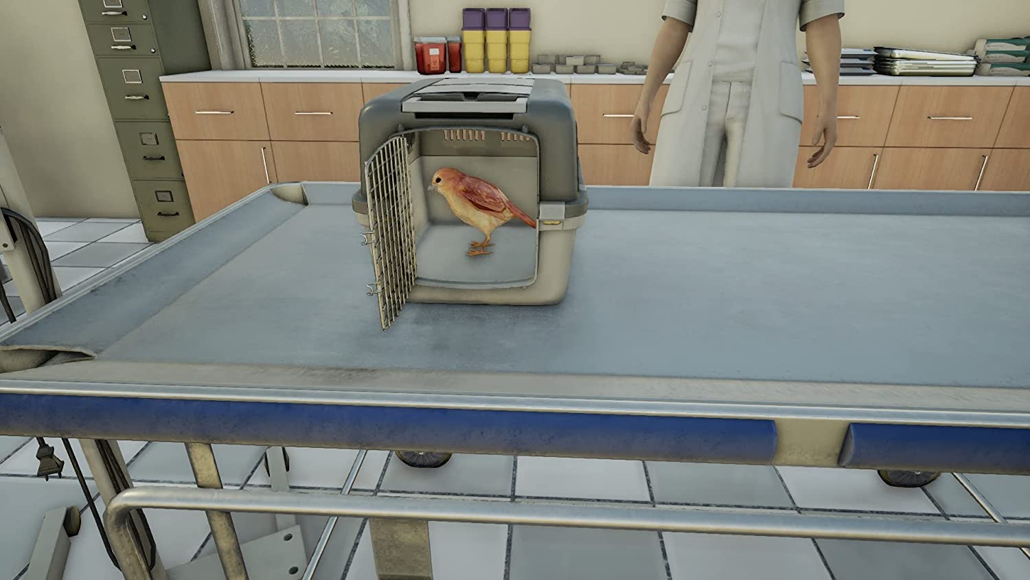 Animal Doctor (PS4) PlayStation 4