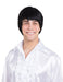 Bristol Novelty BW939 60s Male Wig | For Men | Black 60's