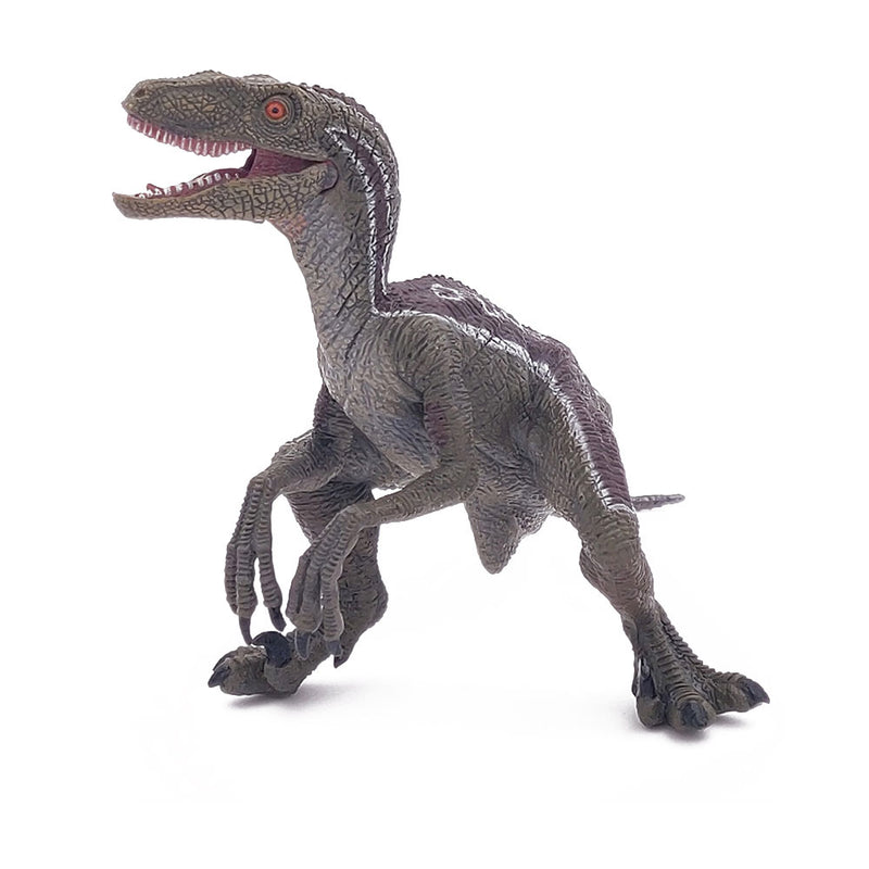 Papo DINOSAURS 55023 Velociraptor Figurine, multicolour