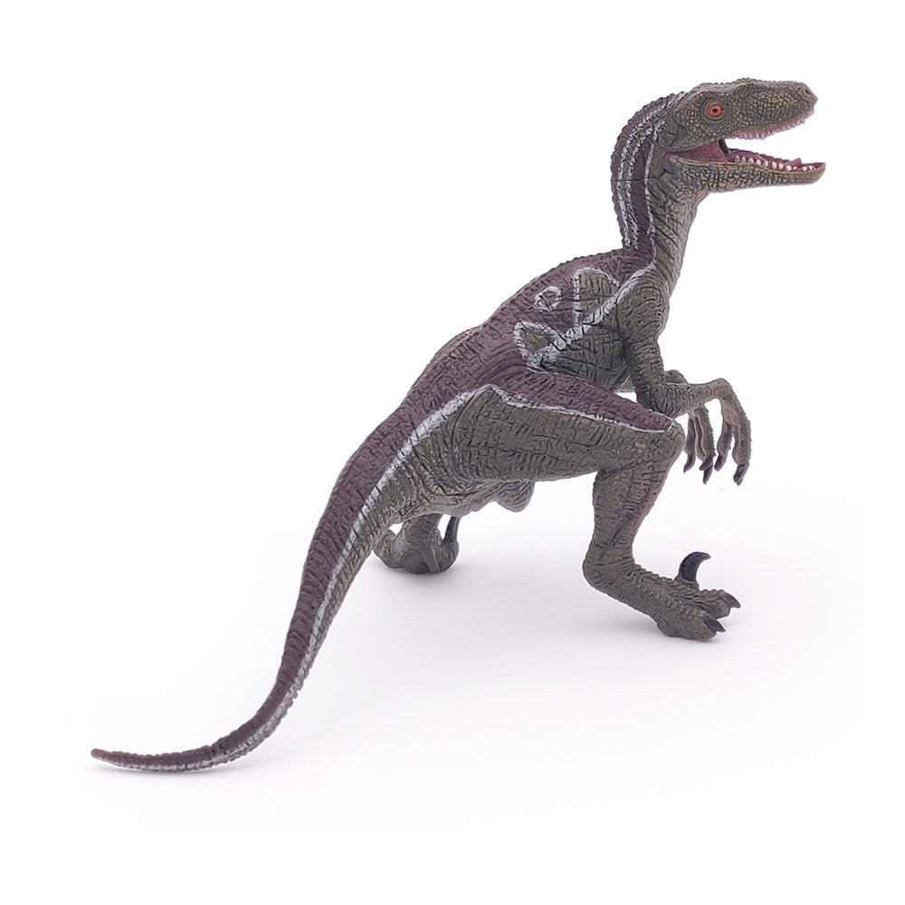 Papo DINOSAURS 55023 Velociraptor Figurine, multicolour
