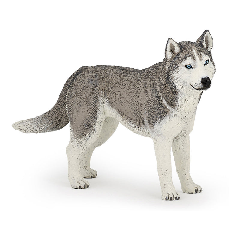 PAPO CATS AND DOGS 54035 Siberian Husky Figurine, Multicolour