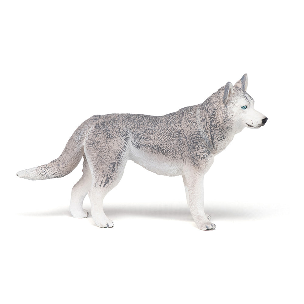 PAPO CATS AND DOGS 54035 Siberian Husky Figurine, Multicolour