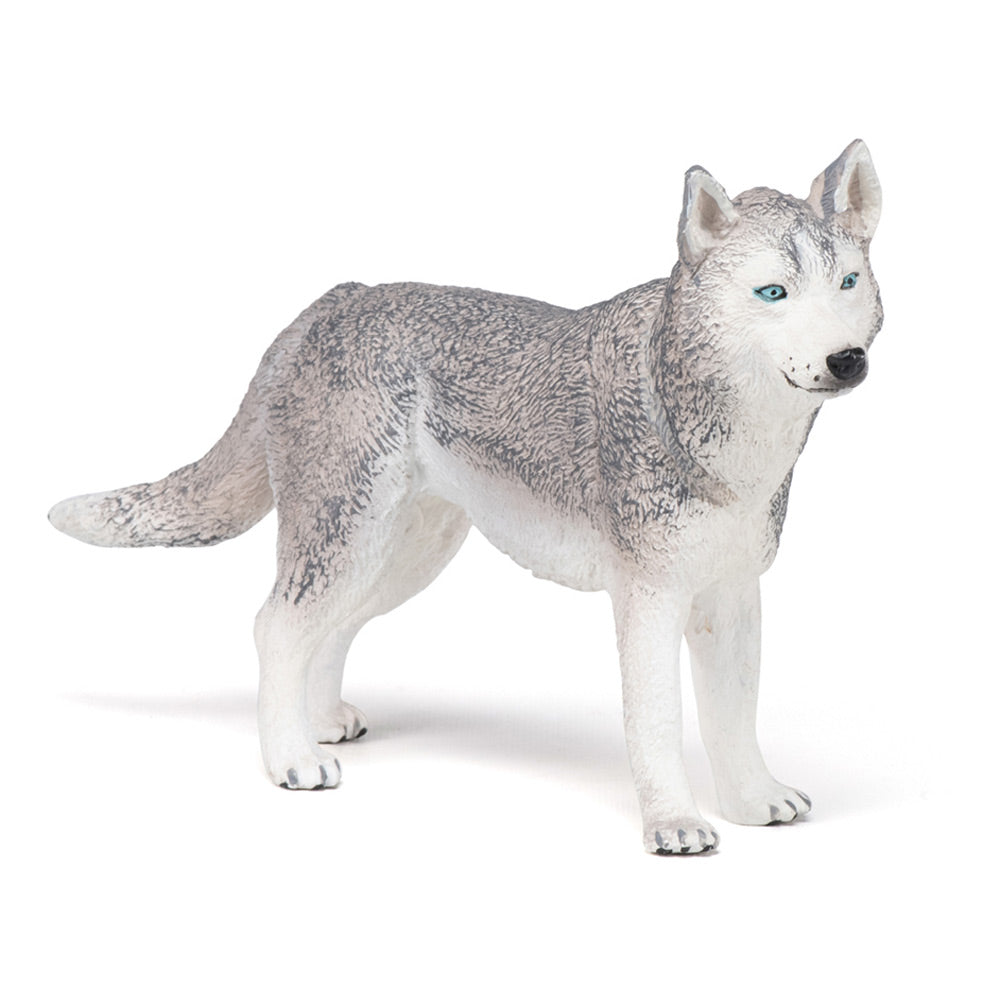 PAPO CATS AND DOGS 54035 Siberian Husky Figurine, Multicolour
