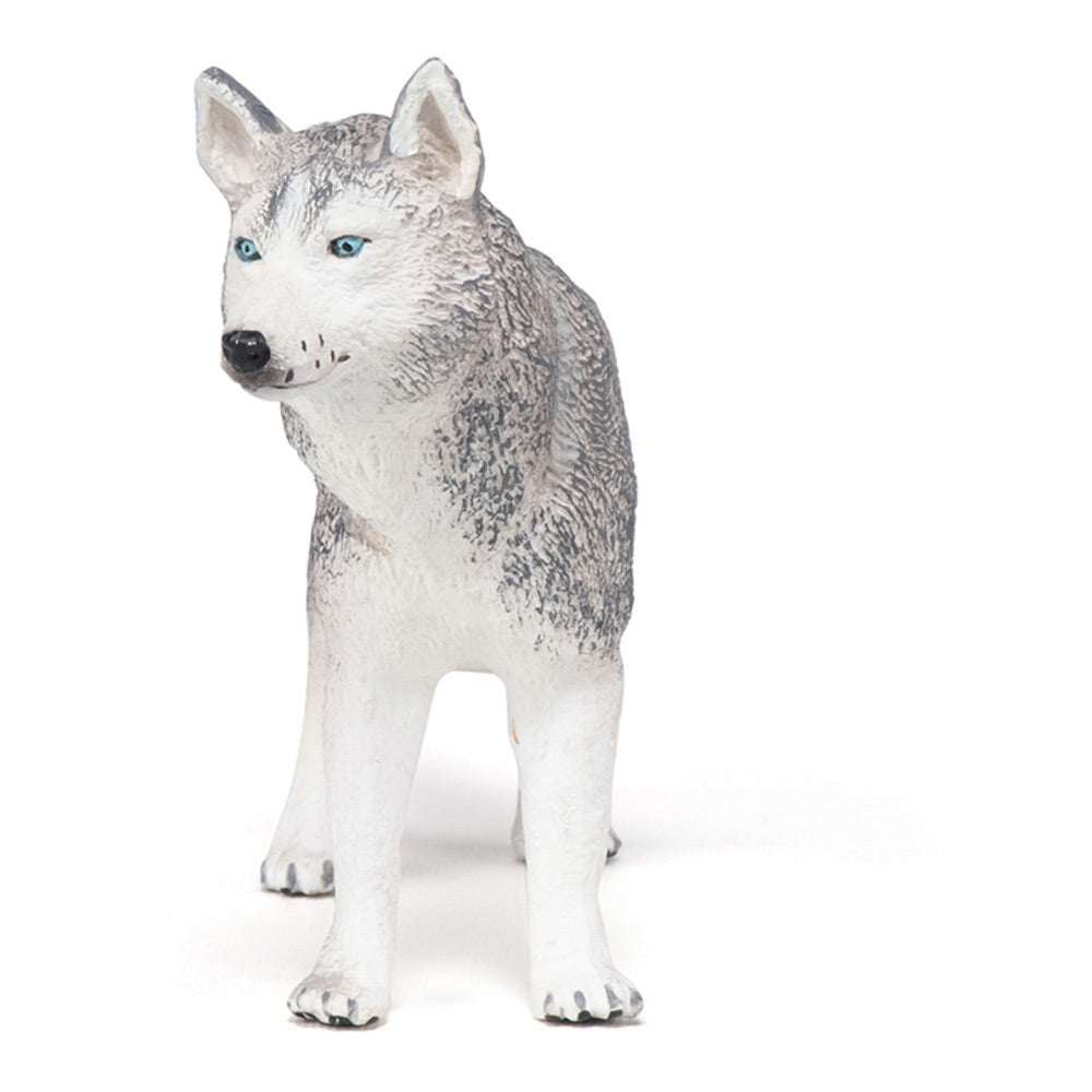 PAPO CATS AND DOGS 54035 Siberian Husky Figurine, Multicolour