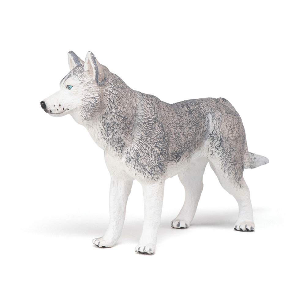 PAPO CATS AND DOGS 54035 Siberian Husky Figurine, Multicolour