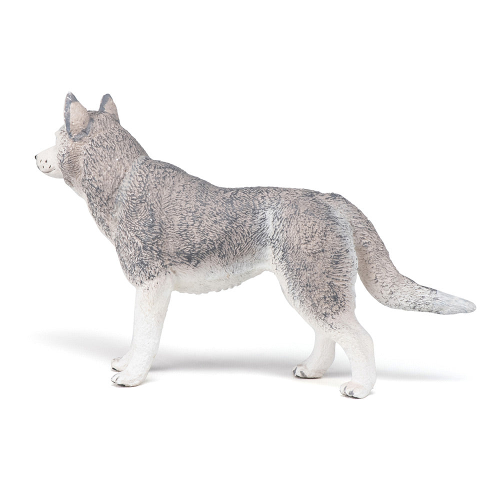PAPO CATS AND DOGS 54035 Siberian Husky Figurine, Multicolour