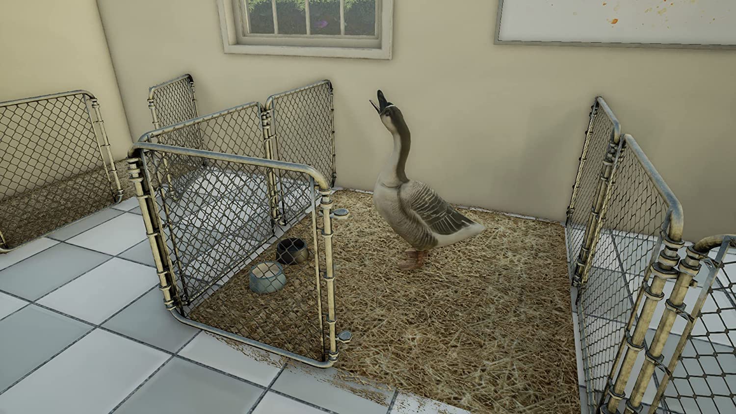 Animal Doctor (Nintendo Switch