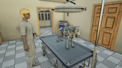 Animal Doctor (Nintendo Switch