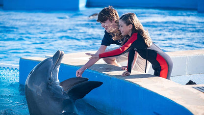 KIRK HARRIS - BERNIE, DER DELFIN 2 - EIN SOMMER VOLLER ABENTEUER