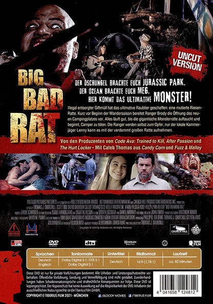 Big Bad Rat