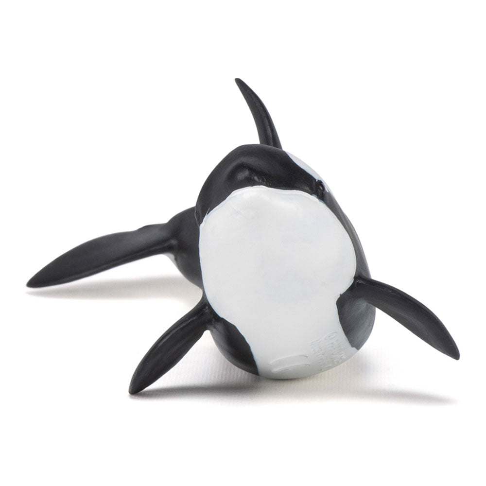 PAPO Marine Life Killer Whale Calf Toy Figure, Black/White (56040)