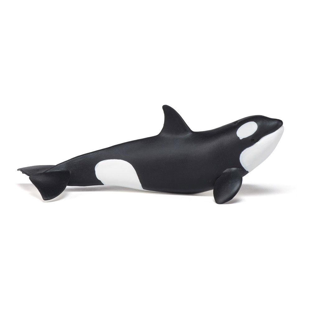 PAPO Marine Life Killer Whale Calf Toy Figure, Black/White (56040)