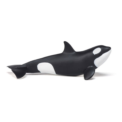 PAPO Marine Life Killer Whale Calf Toy Figure, Black/White (56040)