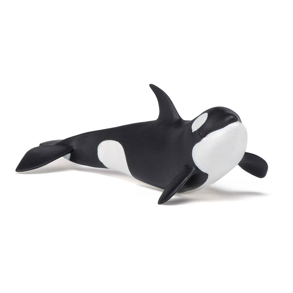PAPO Marine Life Killer Whale Calf Toy Figure, Black/White (56040)