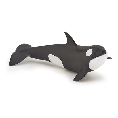 PAPO Marine Life Killer Whale Calf Toy Figure, Black/White (56040)