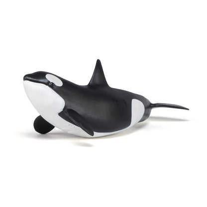 PAPO Marine Life Killer Whale Calf Toy Figure, Black/White (56040)
