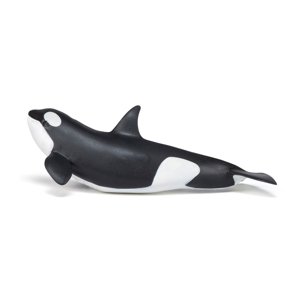 PAPO Marine Life Killer Whale Calf Toy Figure, Black/White (56040)