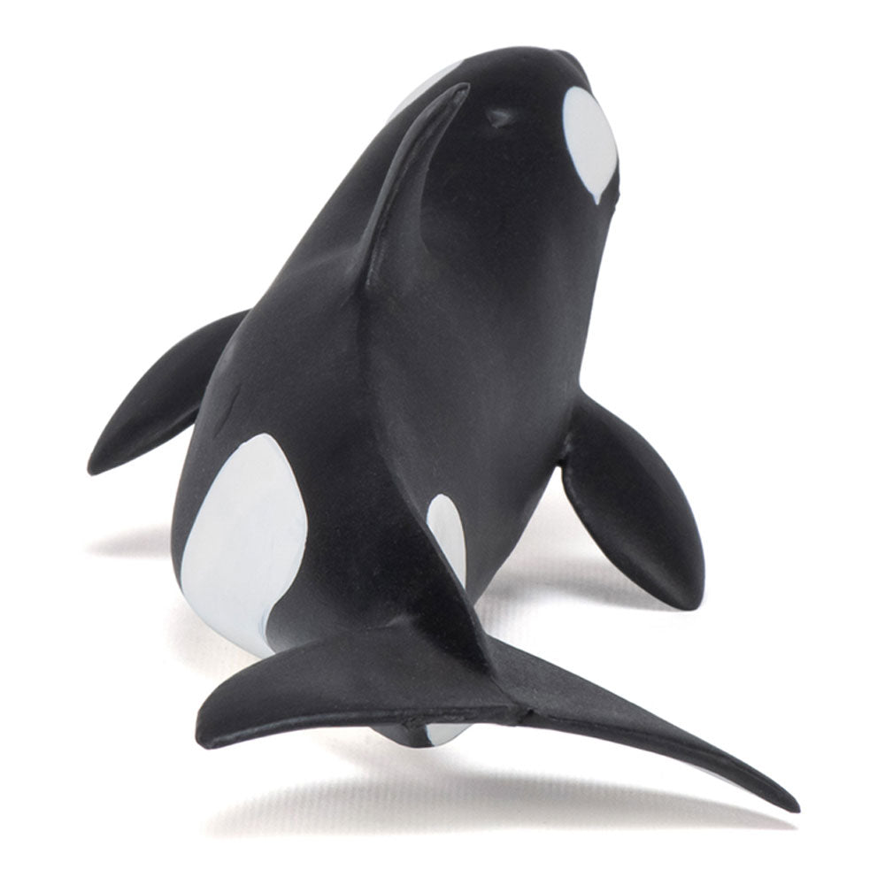 PAPO Marine Life Killer Whale Calf Toy Figure, Black/White (56040)
