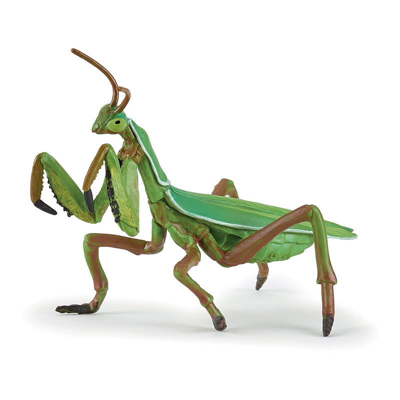 PAPO Wild Animal Kingdom Praying Mantis Toy Figure, Green (50244)