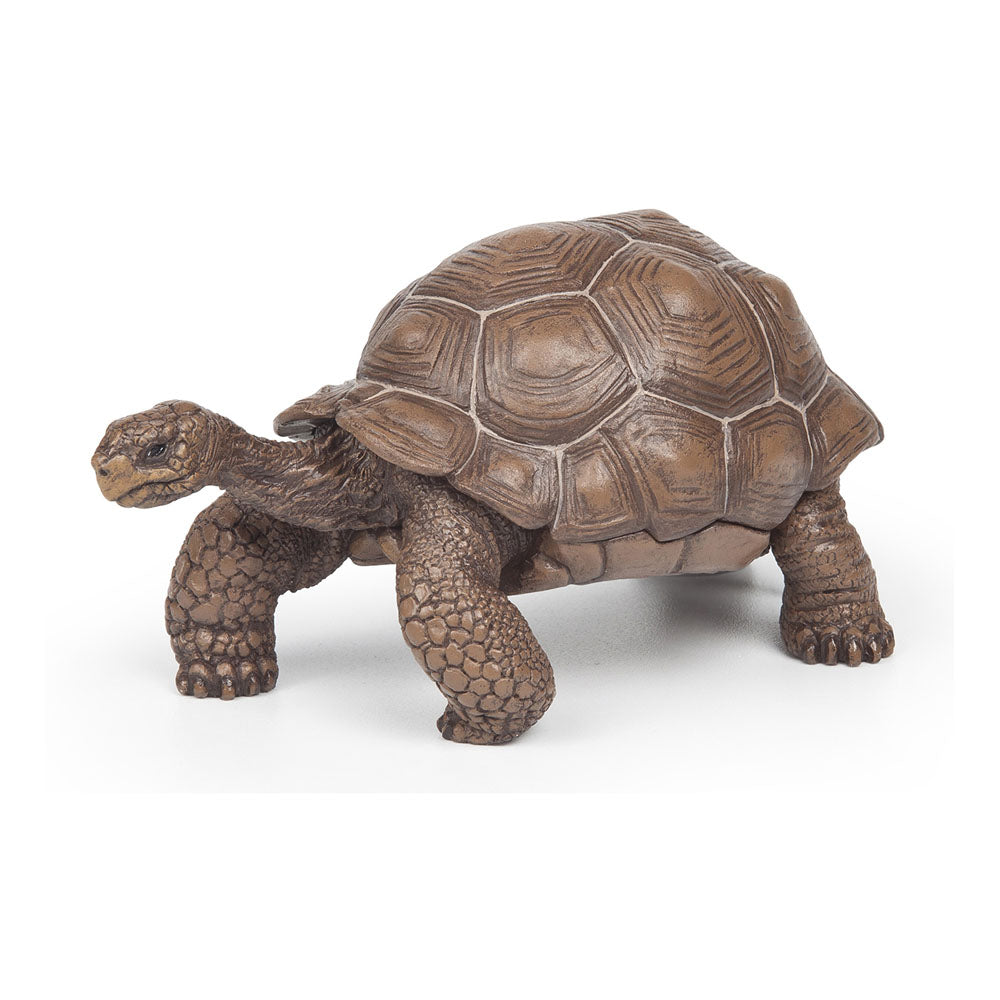 Papo - Figura Tortuga Galapagos (2050161.0