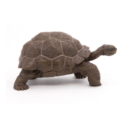 Papo - Figura Tortuga Galapagos (2050161.0