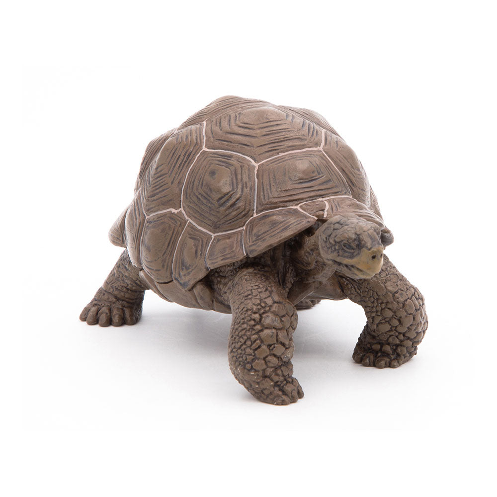 Papo - Figura Tortuga Galapagos (2050161.0