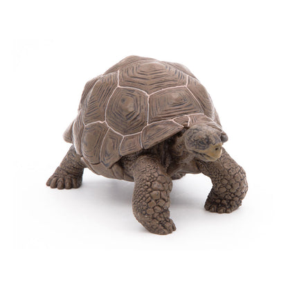 Papo - Figura Tortuga Galapagos (2050161.0