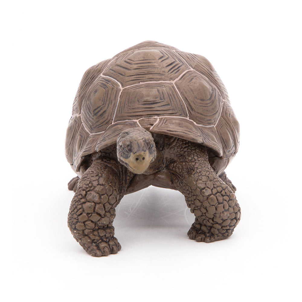 Papo - Figura Tortuga Galapagos (2050161.0