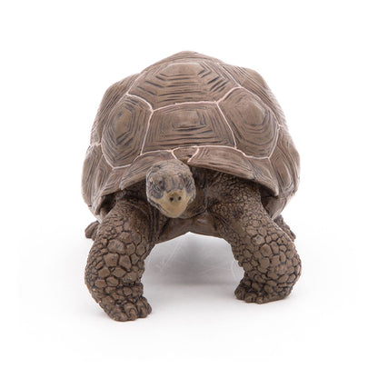 Papo - Figura Tortuga Galapagos (2050161.0