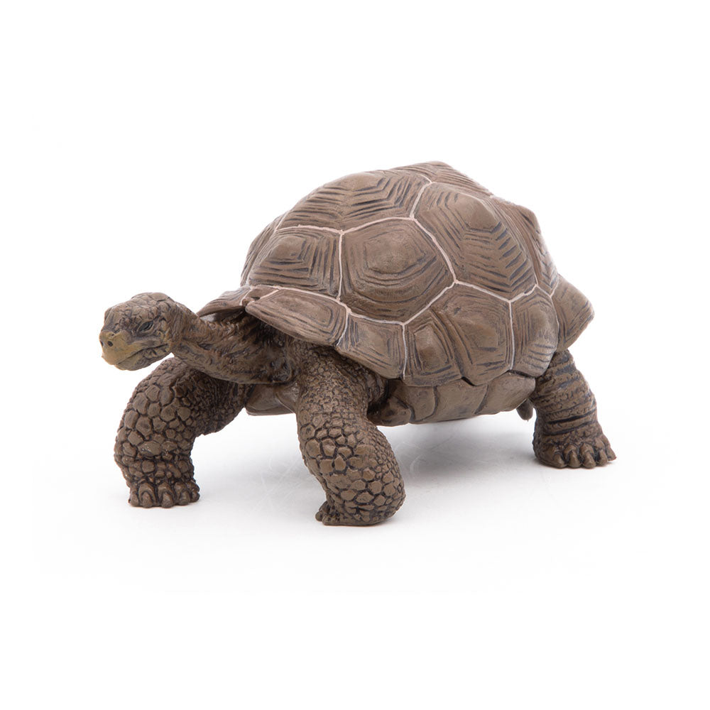 Papo - Figura Tortuga Galapagos (2050161.0