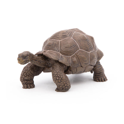 Papo - Figura Tortuga Galapagos (2050161.0