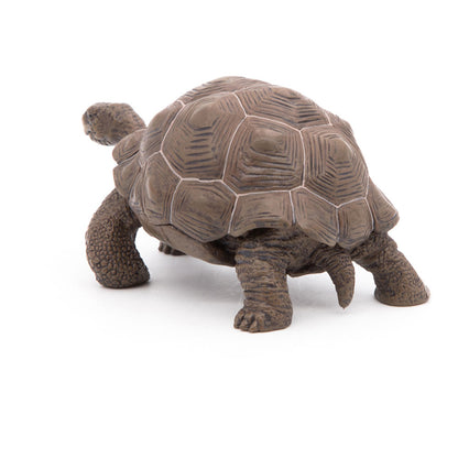 Papo - Figura Tortuga Galapagos (2050161.0