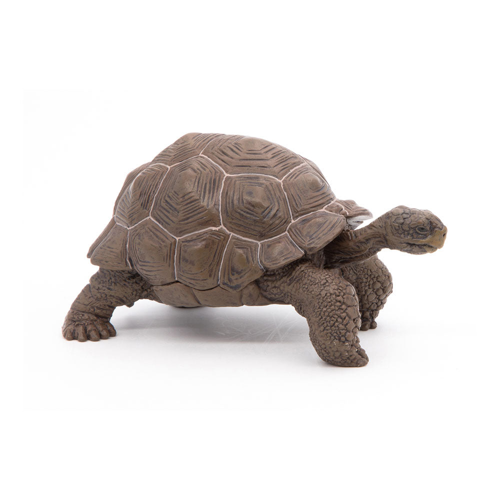 Papo - Figura Tortuga Galapagos (2050161.0