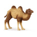 Papo WILD ANIMAL KINGDOM Figurine, 50129 Bactrian Camel, Multicolour
