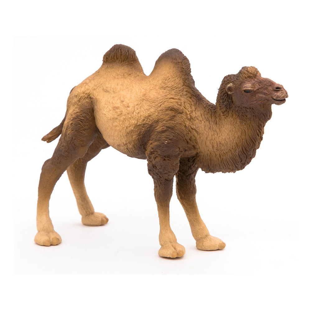 Papo WILD ANIMAL KINGDOM Figurine, 50129 Bactrian Camel, Multicolour