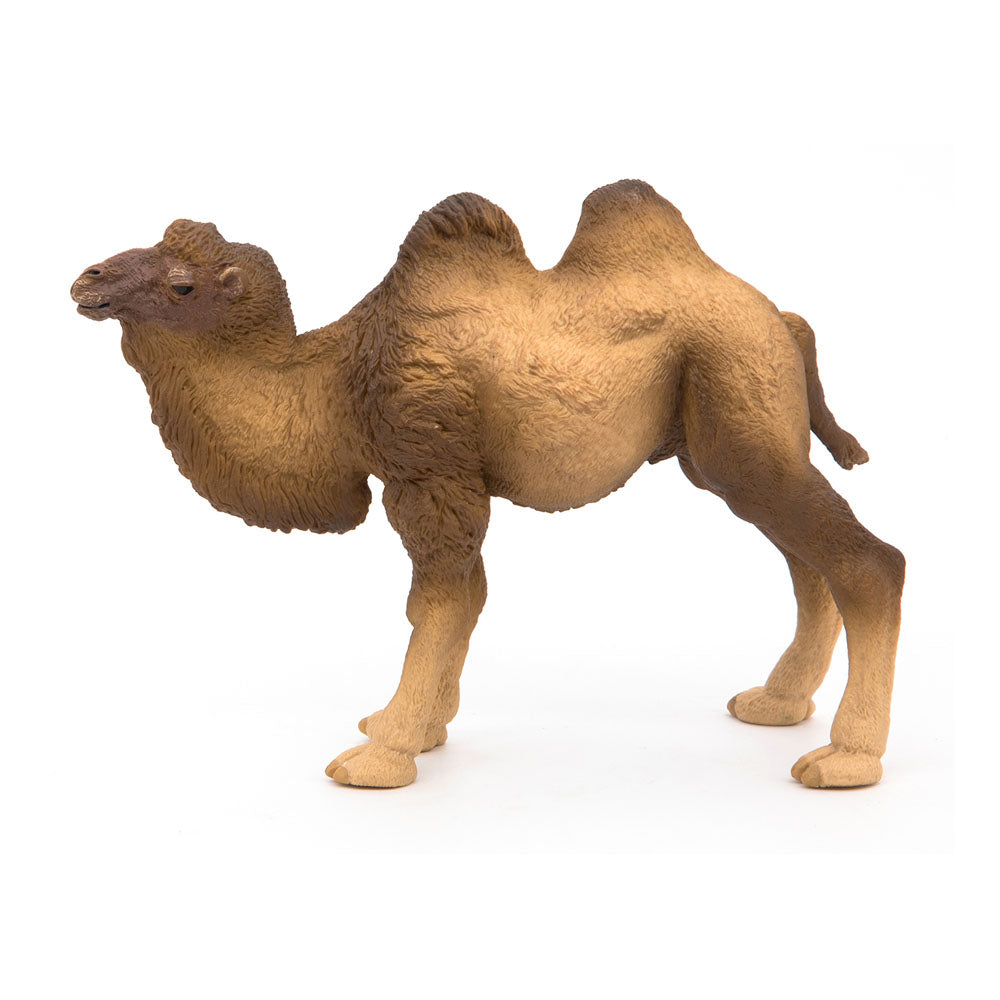 Papo WILD ANIMAL KINGDOM Figurine, 50129 Bactrian Camel, Multicolour