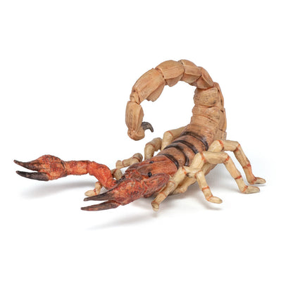 PAPO Wild Animal Kingdom Scorpion Toy Figure, Multi-colour (50209)