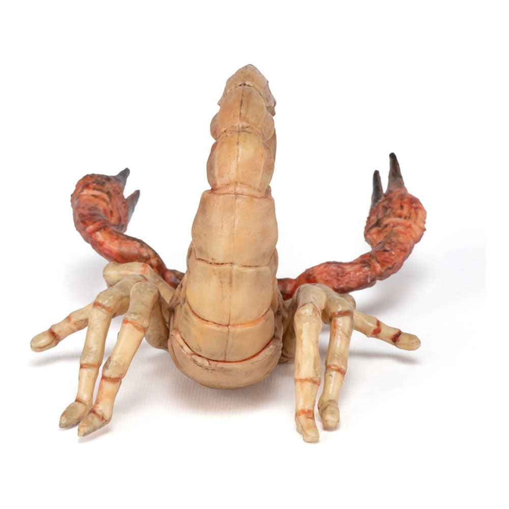 PAPO Wild Animal Kingdom Scorpion Toy Figure, Multi-colour (50209)