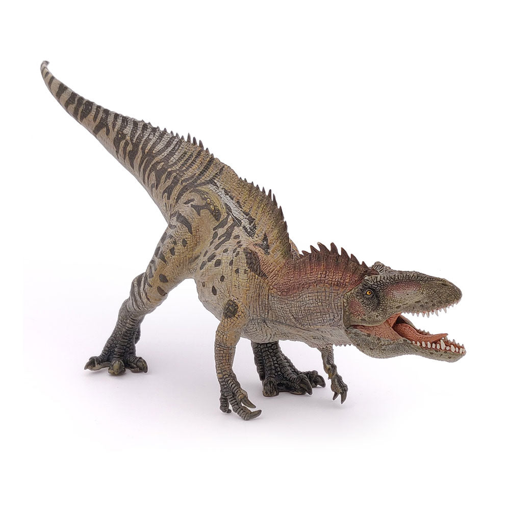 PAPO Dinosaurs Acrocanthosaurus Toy Figure, Multi-colour (55062)