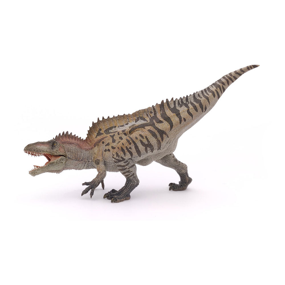 PAPO Dinosaurs Acrocanthosaurus Toy Figure, Multi-colour (55062)