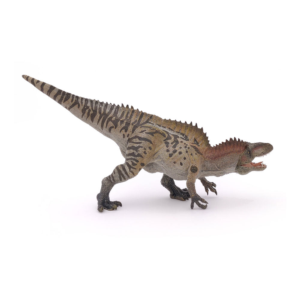 PAPO Dinosaurs Acrocanthosaurus Toy Figure, Multi-colour (55062)