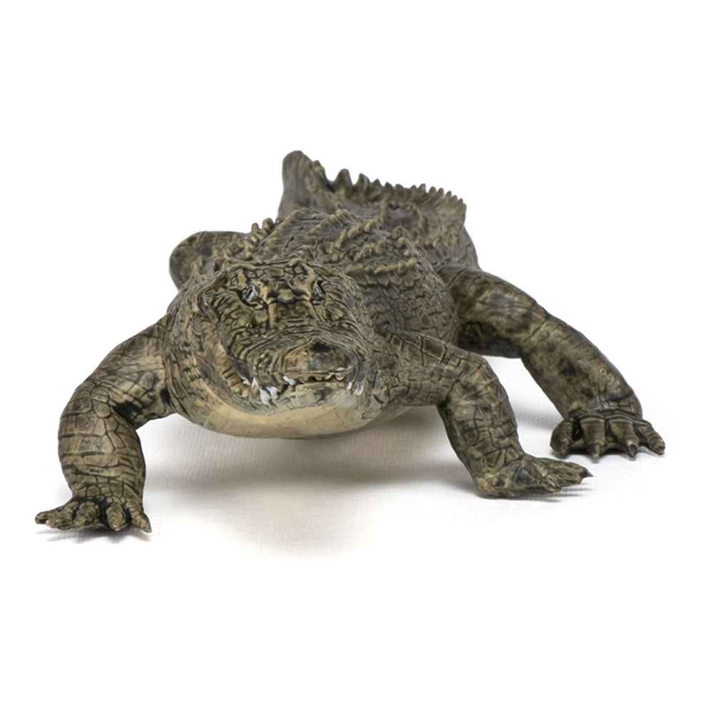 PAPO Wild Animal Kingdom Alligator Toy Figure, Multi-colour (50254)