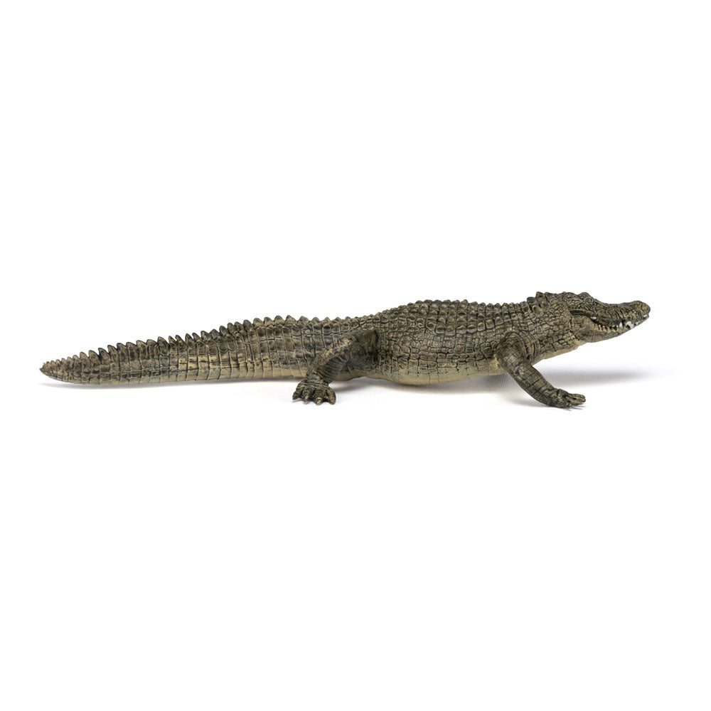 PAPO Wild Animal Kingdom Alligator Toy Figure, Multi-colour (50254)