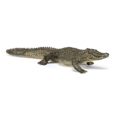 PAPO Wild Animal Kingdom Alligator Toy Figure, Multi-colour (50254)