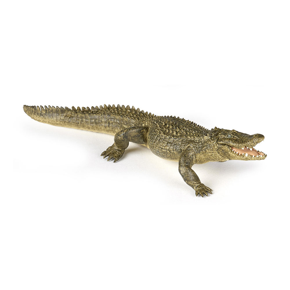 PAPO Wild Animal Kingdom Alligator Toy Figure, Multi-colour (50254)