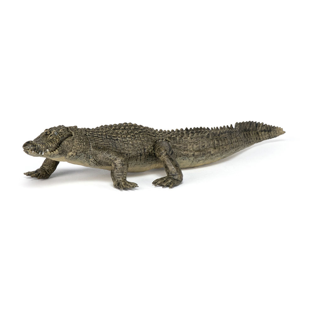 PAPO Wild Animal Kingdom Alligator Toy Figure, Multi-colour (50254)
