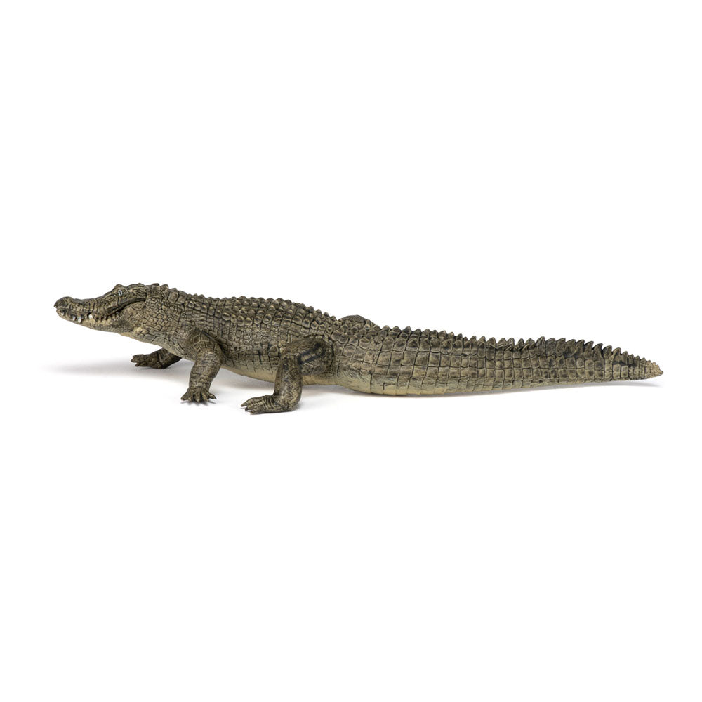 PAPO Wild Animal Kingdom Alligator Toy Figure, Multi-colour (50254)