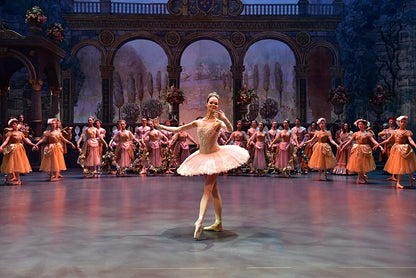 VALERIY TODOROVSKIY - BALLERINA - IHR TRAUM VOM BOLSCHOI