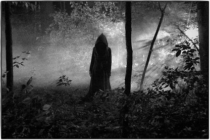 Im Bann der Hexe